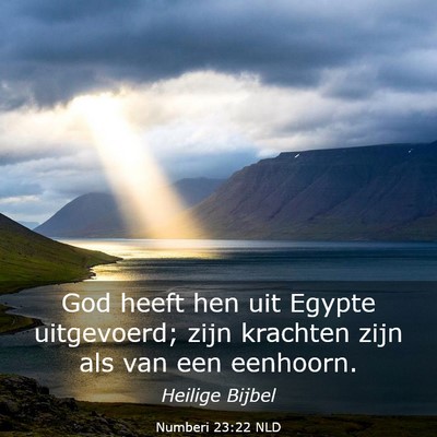 Picture 03 - Numberi 23:22 NLD - God heeft hen uit Egypte uitgevoerd; zijn - Bible Verse Picture