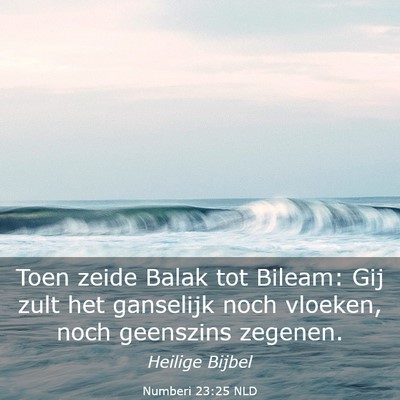 Picture 03 - Numberi 23:25 NLD - Toen zeide Balak tot Bileam: Gij zult het - Bible Verse Picture
