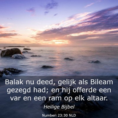 Picture 03 - Numberi 23:30 NLD - Balak nu deed, gelijk als Bileam gezegd had; en - Bible Verse Picture