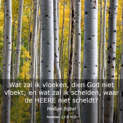 Picture 03 - Numberi 23:8 NLD - Wat zal ik vloeken, dien God niet vloekt; en wat - Bible Verse Picture