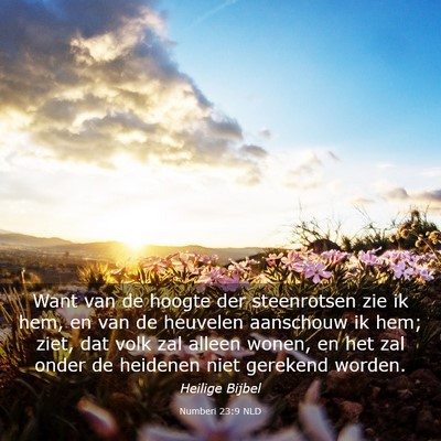 Picture 03 - Numberi 23:9 NLD - Want van de hoogte der steenrotsen zie ik hem, en - Bible Verse Picture