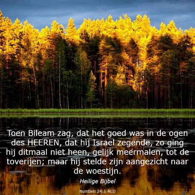 Picture 03 - Numberi 24:1 NLD - Toen Bileam zag, dat het goed was in de ogen des - Bible Verse Picture