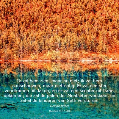 Picture 03 - Numberi 24:17 NLD - Ik zal hem zien, maar nu niet; ik zal hem - Bible Verse Picture