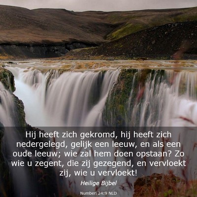 Picture 03 - Numberi 24:9 NLD - Hij heeft zich gekromd, hij heeft zich - Bible Verse Picture