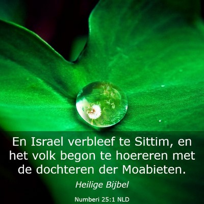 Picture 03 - Numberi 25:1 NLD - En Israel verbleef te Sittim, en het volk begon - Bible Verse Picture