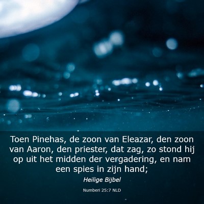 Picture 03 - Numberi 25:7 NLD - Toen Pinehas, de zoon van Eleazar, den zoon van - Bible Verse Picture