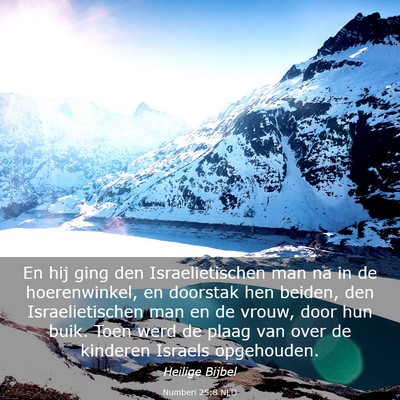 Picture 03 - Numberi 25:8 NLD - En hij ging den Israelietischen man na in de - Bible Verse Picture