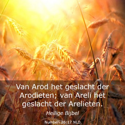Picture 03 - Numberi 26:17 NLD - Van Arod het geslacht der Arodieten; van Areli - Bible Verse Picture