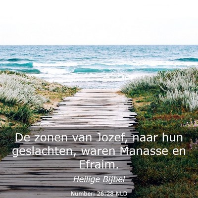 Picture 03 - Numberi 26:28 NLD - De zonen van Jozef, naar hun geslachten, waren - Bible Verse Picture
