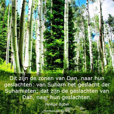 Picture 03 - Numberi 26:42 NLD - Dit zijn de zonen van Dan, naar hun geslachten: - Bible Verse Picture