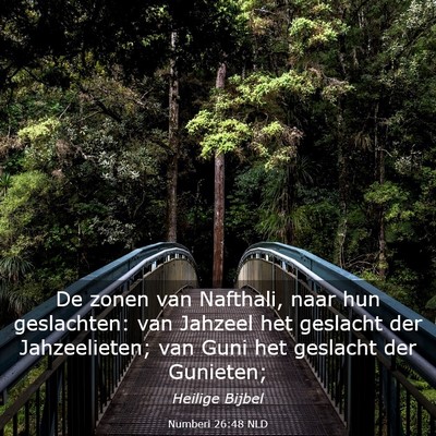 Picture 03 - Numberi 26:48 NLD - De zonen van Nafthali, naar hun geslachten: van - Bible Verse Picture