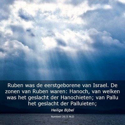 Picture 03 - Numberi 26:5 NLD - Ruben was de eerstgeborene van Israel. De zonen - Bible Verse Picture
