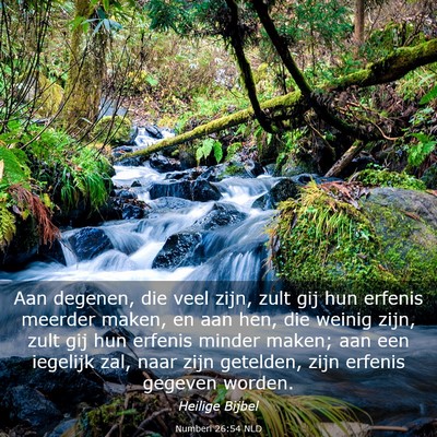 Picture 03 - Numberi 26:54 NLD - Aan degenen, die veel zijn, zult gij hun erfenis - Bible Verse Picture