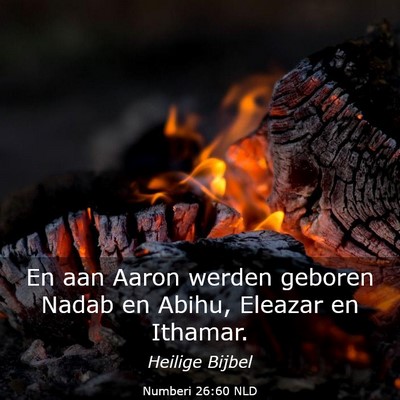 Picture 03 - Numberi 26:60 NLD - En aan Aaron werden geboren Nadab en Abihu, - Bible Verse Picture