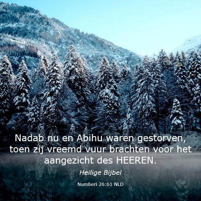 Picture 03 - Numberi 26:61 NLD - Nadab nu en Abihu waren gestorven, toen zij - Bible Verse Picture