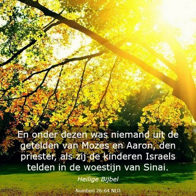 Picture 03 - Numberi 26:64 NLD - En onder dezen was niemand uit de getelden van - Bible Verse Picture