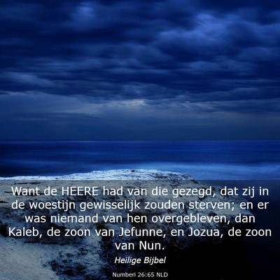 Picture 03 - Numberi 26:65 NLD - Want de HEERE had van die gezegd, dat zij in de - Bible Verse Picture