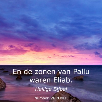 Picture 03 - Numberi 26:8 NLD - En de zonen van Pallu waren - Bible Verse Picture