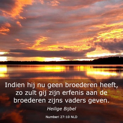 Picture 03 - Numberi 27:10 NLD - Indien hij nu geen broederen heeft, zo zult gij - Bible Verse Picture