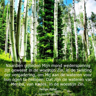 Picture 03 - Numberi 27:14 NLD - Naardien gijlieden Mijn mond wederspannig zijt - Bible Verse Picture
