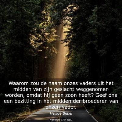 Picture 03 - Numberi 27:4 NLD - Waarom zou de naam onzes vaders uit het midden - Bible Verse Picture
