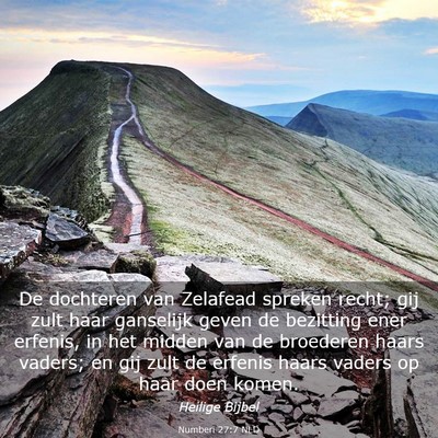 Picture 03 - Numberi 27:7 NLD - De dochteren van Zelafead spreken recht; gij zult - Bible Verse Picture