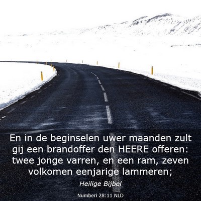 Picture 03 - Numberi 28:11 NLD - En in de beginselen uwer maanden zult gij een - Bible Verse Picture