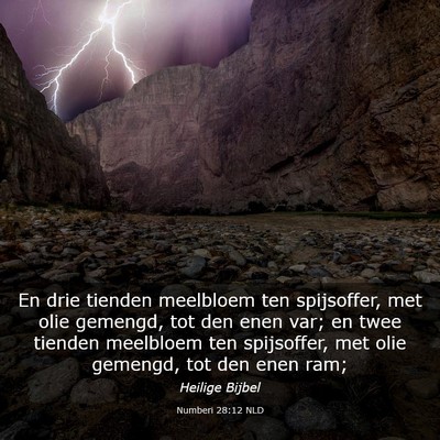 Picture 03 - Numberi 28:12 NLD - En drie tienden meelbloem ten spijsoffer, met - Bible Verse Picture