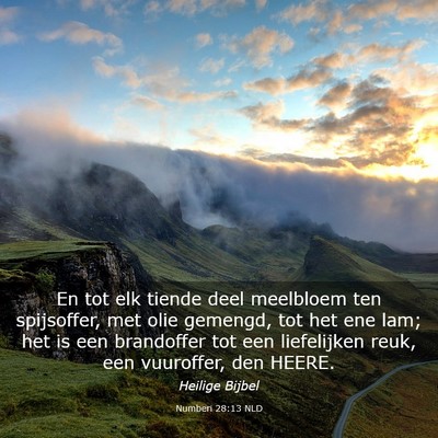 Picture 03 - Numberi 28:13 NLD - En tot elk tiende deel meelbloem ten spijsoffer, - Bible Verse Picture