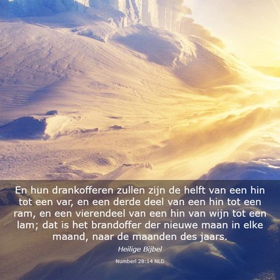 Picture 03 - Numberi 28:14 NLD - En hun drankofferen zullen zijn de helft van een - Bible Verse Picture