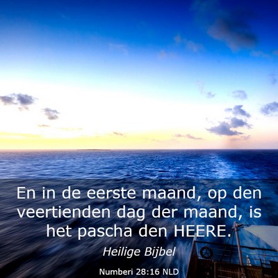 Picture 03 - Numberi 28:16 NLD - En in de eerste maand, op den veertienden dag der - Bible Verse Picture