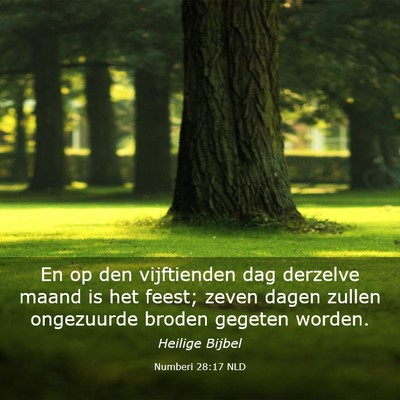 Picture 03 - Numberi 28:17 NLD - En op den vijftienden dag derzelve maand is het - Bible Verse Picture