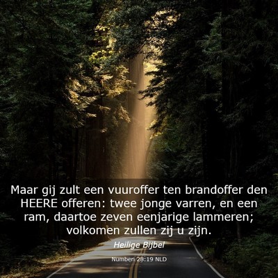 Picture 03 - Numberi 28:19 NLD - Maar gij zult een vuuroffer ten brandoffer den - Bible Verse Picture