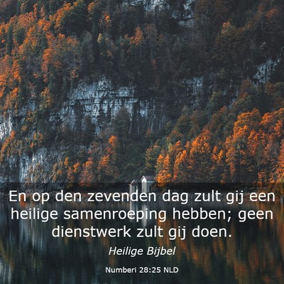 Picture 03 - Numberi 28:25 NLD - En op den zevenden dag zult gij een heilige - Bible Verse Picture