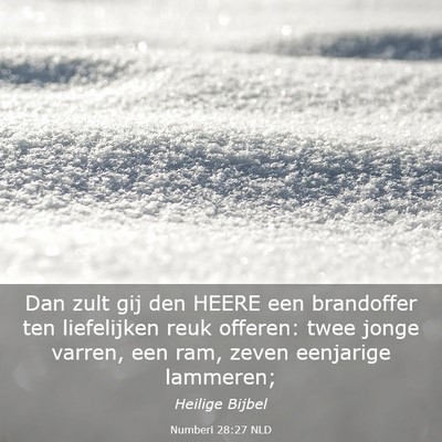 Picture 03 - Numberi 28:27 NLD - Dan zult gij den HEERE een brandoffer ten - Bible Verse Picture