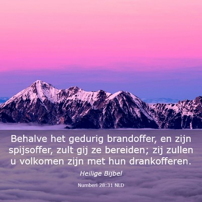 Picture 03 - Numberi 28:31 NLD - Behalve het gedurig brandoffer, en zijn - Bible Verse Picture