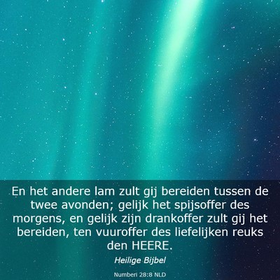 Picture 03 - Numberi 28:8 NLD - En het andere lam zult gij bereiden tussen de - Bible Verse Picture