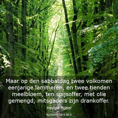 Picture 03 - Numberi 28:9 NLD - Maar op den sabbatdag twee volkomen eenjarige - Bible Verse Picture
