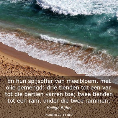 Picture 03 - Numberi 29:14 NLD - En hun spijsoffer van meelbloem, met olie - Bible Verse Picture