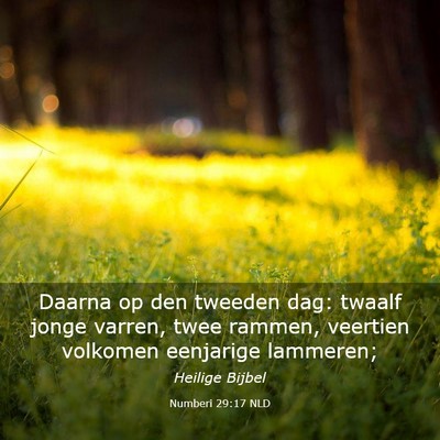 Picture 03 - Numberi 29:17 NLD - Daarna op den tweeden dag: twaalf jonge varren, - Bible Verse Picture