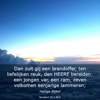 Picture 03 - Numberi 29:2 NLD - Dan zult gij een brandoffer, ten liefelijken - Bible Verse Picture