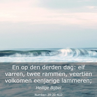 Picture 03 - Numberi 29:20 NLD - En op den derden dag: elf varren, twee rammen, - Bible Verse Picture