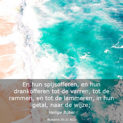 Picture 03 - Numberi 29:21 NLD - En hun spijsofferen, en hun drankofferen tot de - Bible Verse Picture