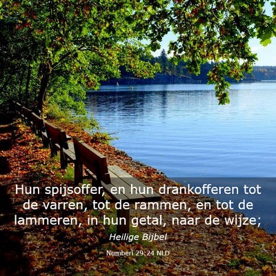 Picture 03 - Numberi 29:24 NLD - Hun spijsoffer, en hun drankofferen tot de - Bible Verse Picture