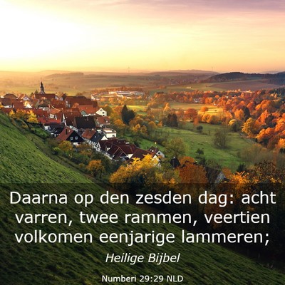 Picture 03 - Numberi 29:29 NLD - Daarna op den zesden dag: acht varren, twee - Bible Verse Picture