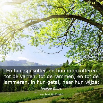 Picture 03 - Numberi 29:33 NLD - En hun spijsoffer, en hun drankofferen tot de - Bible Verse Picture