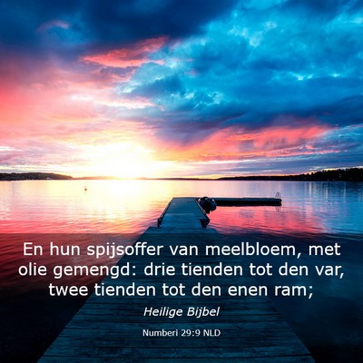 Picture 03 - Numberi 29:9 NLD - En hun spijsoffer van meelbloem, met olie - Bible Verse Picture