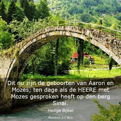 Picture 03 - Numberi 3:1 NLD - Dit nu zijn de geboorten van Aaron en Mozes; ten - Bible Verse Picture