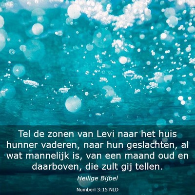 Picture 03 - Numberi 3:15 NLD - Tel de zonen van Levi naar het huis hunner - Bible Verse Picture