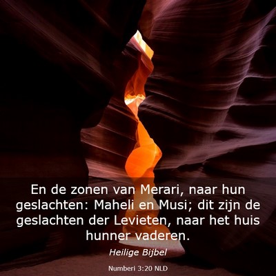 Picture 03 - Numberi 3:20 NLD - En de zonen van Merari, naar hun geslachten: - Bible Verse Picture